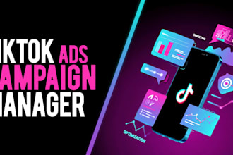 manage tiktok ads campaigns with targeting and optimization