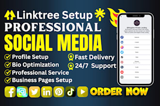 professionally create and setup social media accounts and linktree landing page