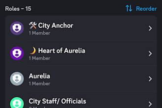 create and setup a professional discord server