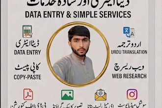 do professional data entry and urdu translation tasks