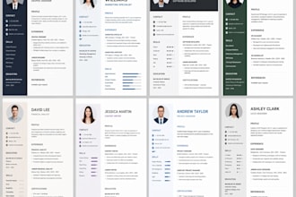 write a professional ats resume and CV design