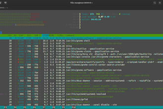 perform vulnerability analysis and security audits for web, apis and servers