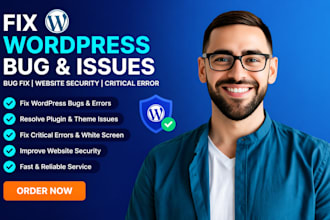 fix wordpress bug, fix wordpress issues, website security, fix critical error