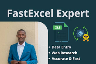 professional excel data cleaning and formatting service