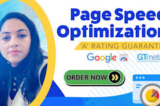 do wordpress speed optimization for google pagespeed insight