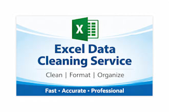 clean, format and organize excel data professionally