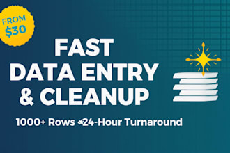 do fast and accurate data entry, spreadsheet cleanup, and formatting