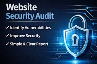 do a beginner friendly website security audit and vulnerability check