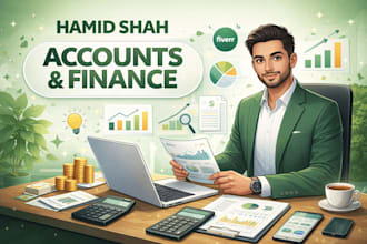 do accounting and finance assign ,financial statements,analysis excel model