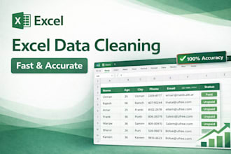 be a virtual assistant for data entry copy paste and excel data entry