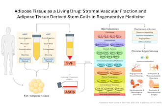 design graphical abstract and scientific figures for research paper