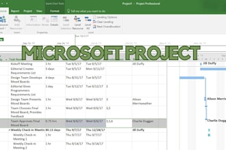 do anything in ms project professionally and efficiently