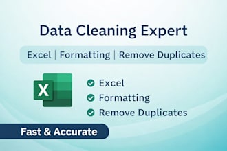 do data cleaning, excel data entry, formatting and data processing