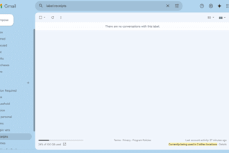 provide a professional inbox detox and email organisation