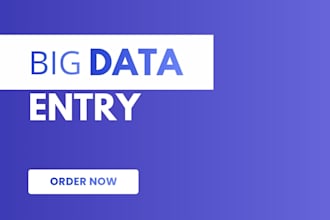 all big data entry projects