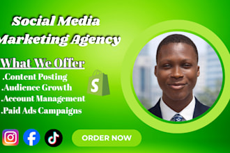 design a digital marketing agency wordpress website