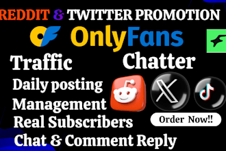 onlyfans promotion fanvue management business website marketing fansly traffic