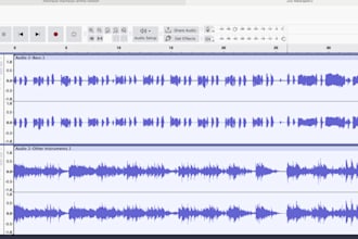 create karaoke and ringtones for any song also mix your voice to karaoke