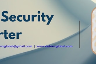 perform professional API security testing and manual audit