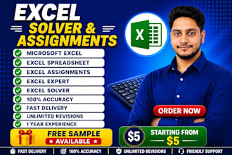 be your expert excel solver for assignments and automation