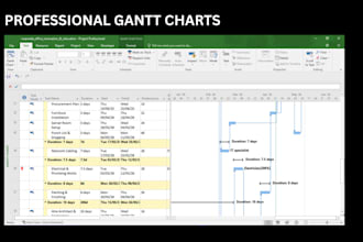 build professional ms project gantt charts
