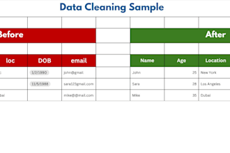 excel data entry and data cleaning