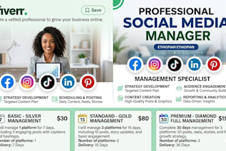 be your professional social media manager for facebook, tikt
