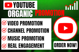 do organic youtube video promotion for channel