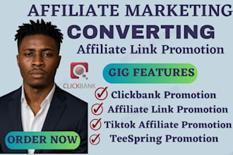 clickbank affiliate link promotion, clickbank affiliate marketing amazon traffic