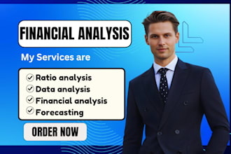 do financial analysis, financial statement, ratio analysis, data analysis