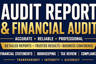 do financial audit, audit report, and prepare audit financial statements