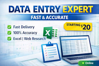 do  data entry, web research, copy paste, excel data entry