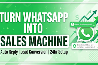set up whatsapp business automation with auto reply and follow up system