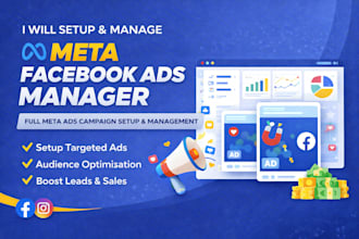 setup and manage meta ads campaign, facebook ads and meta ads manager