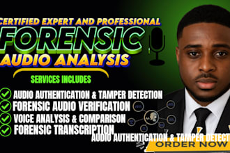do forensic audio analysis, audio cleanup, noise reduction and enhance