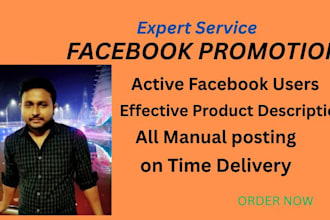 do promote your facebook  promotion to USA any company