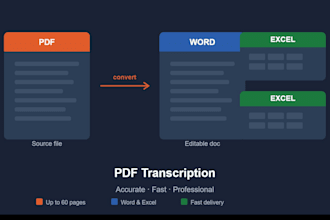 pdf to word and excel transcription service