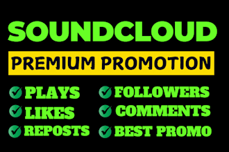 do best soundcloud promotion for targeted audience growth