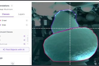 do image annotation for object detection and segmentation