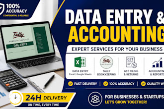do professional data entry, excel, and bookkeeping in tally