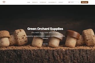build a custom wordpress theme