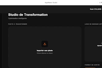 je vais créer une application sur mesure et automatiser votre business