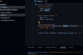 do backend bug fix , api issue