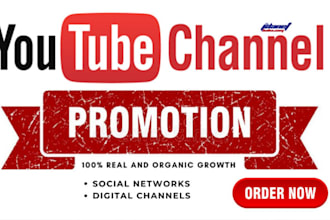 do youtube channel promotion  video marketing for channel growth