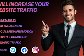 do website traffic and website promotion for organic ecommerce marketing