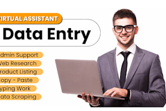 do big crm data entry, excel data entry fast and accurate