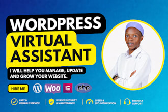 be your wordpress virtual assistant, wordpress maintenance