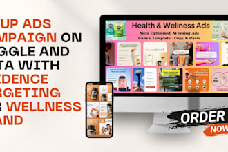 set up paid ad campaigns on google and meta with audience targeting and ads plan