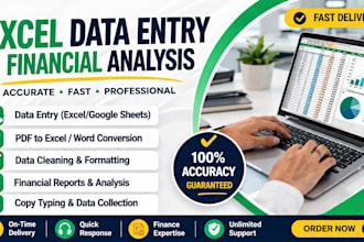 do excel data entry, data cleaning and financial analysis