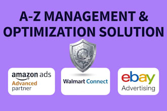 setup optimize amazon ebay walmart PPC campaign ads